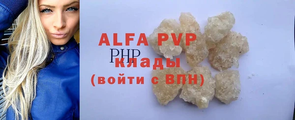 ПСИЛОЦИБИНОВЫЕ ГРИБЫ Горно-Алтайск
