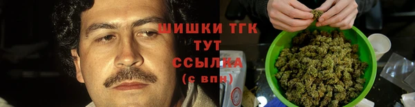 ПСИЛОЦИБИНОВЫЕ ГРИБЫ Гусев