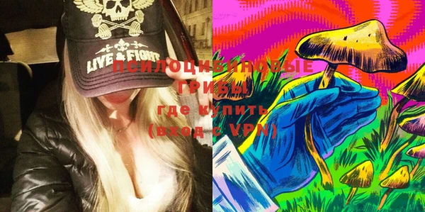 марки lsd Горняк