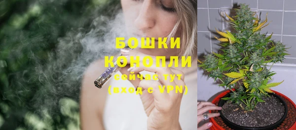 ПСИЛОЦИБИНОВЫЕ ГРИБЫ Горно-Алтайск